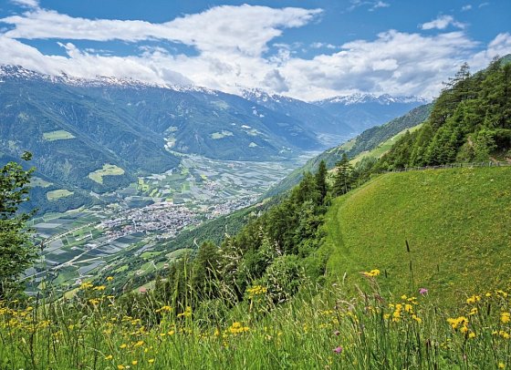 Meraner Höhenweg - Naturns
