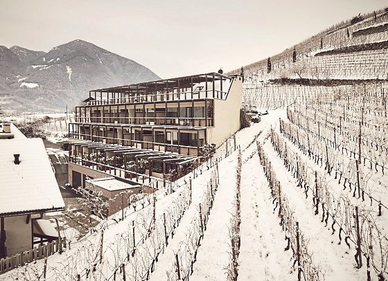 Haller Suites & AO Restaurant