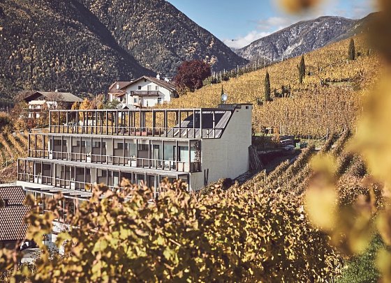 Haller Suites & AO Restaurant