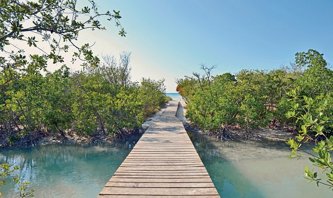 Sol Cayo Coco