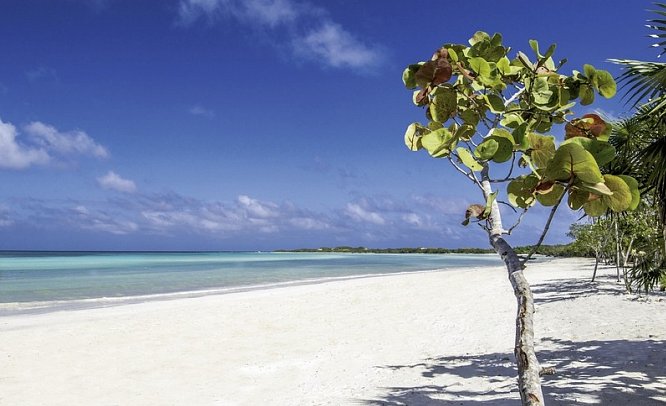 Melia Jardines del Rey