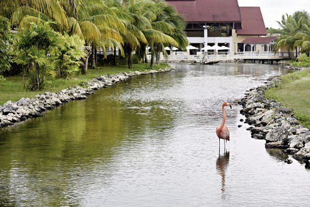Memories Caribe Beach Resort