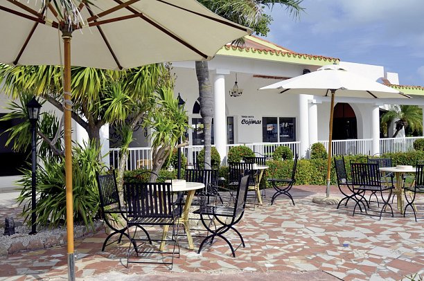 Starfish Cayo Guillermo