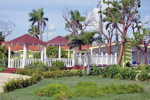 Starfish Cayo Guillermo