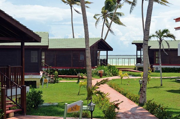 Starfish Cayo Guillermo