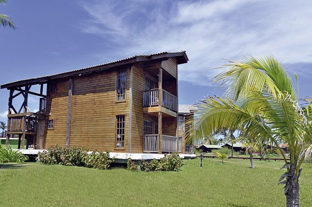 Starfish Cayo Guillermo