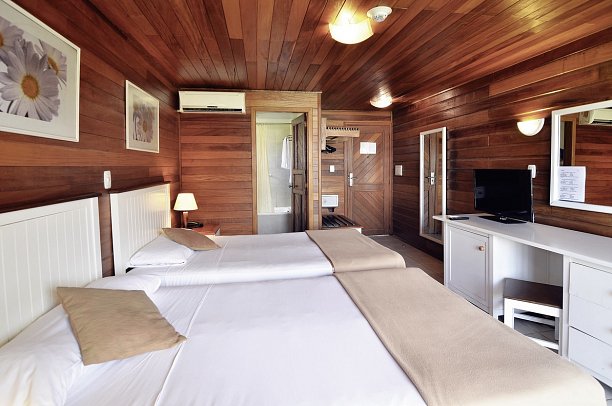 Starfish Cayo Guillermo