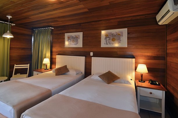 Starfish Cayo Guillermo