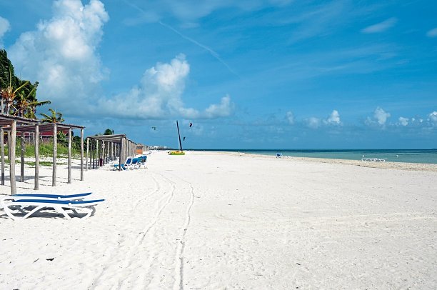 Starfish Cayo Guillermo