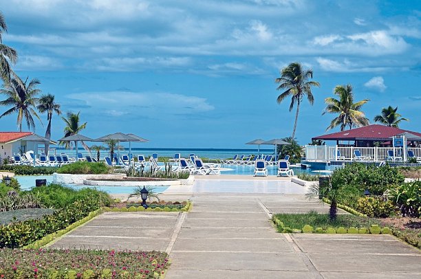Starfish Cayo Guillermo