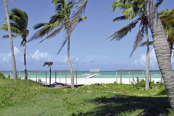 Starfish Cayo Guillermo