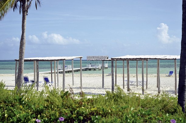 Starfish Cayo Guillermo