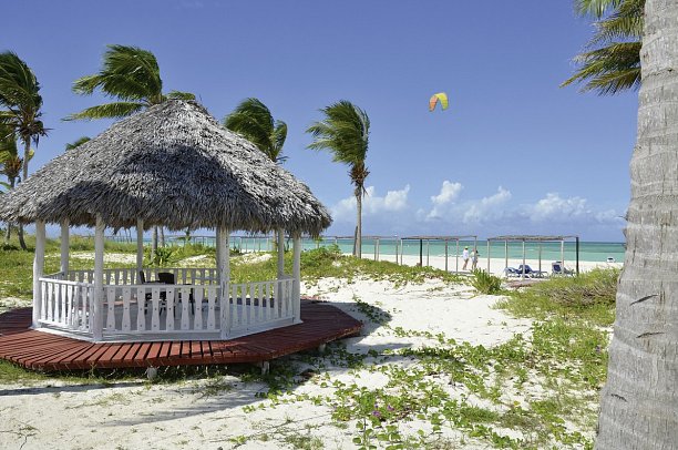 Starfish Cayo Guillermo