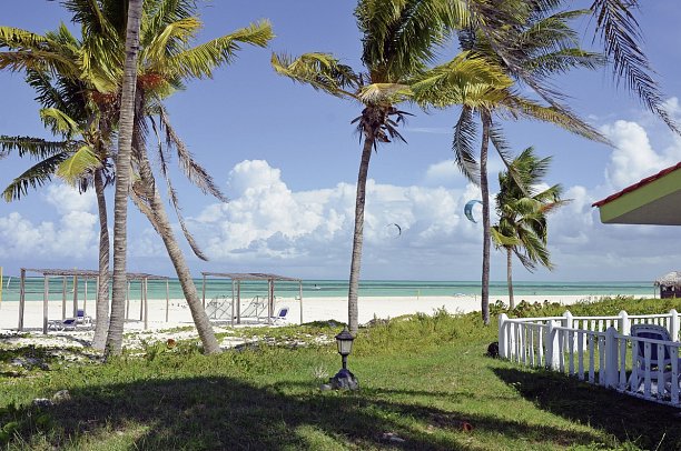 Starfish Cayo Guillermo