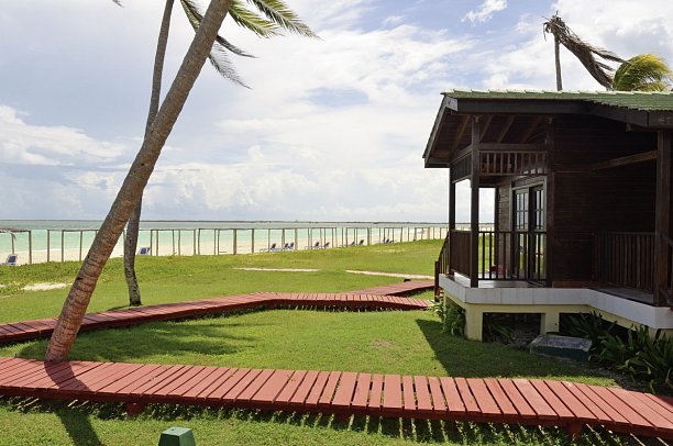 Starfish Cayo Guillermo