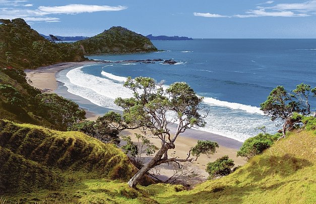Neuseeland auf eigene Faust (Christchurch-Auckland) - Region um Whangarei
