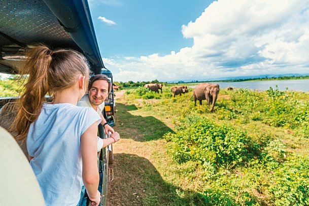 Wildlife Potpourri - Udawalawe Nationalpark