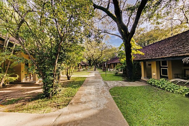 Habarana Village by Cinnamon - Wohnbeispiel Superior (Zimmercodierung US1)