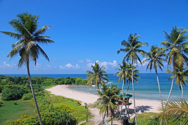 Shinagawa Beach Resort