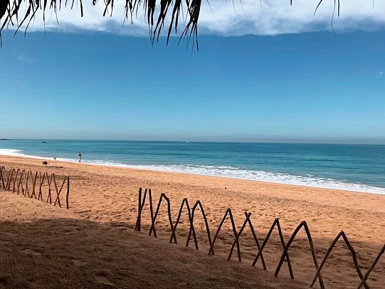 Temple Tree Resort & Spa