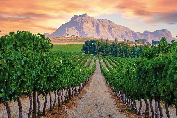 Südafrika - Die Highlights der Kapregion und Gardenroute erwandern