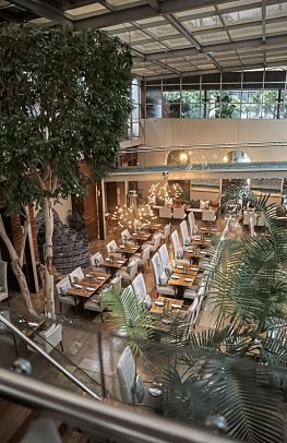 The Vineyard Hotel