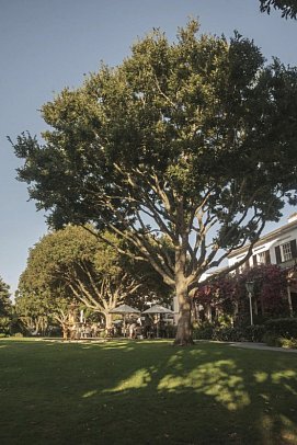 The Vineyard Hotel