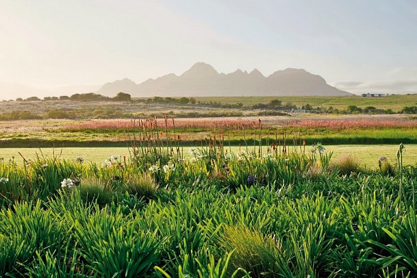 Spier Hotel