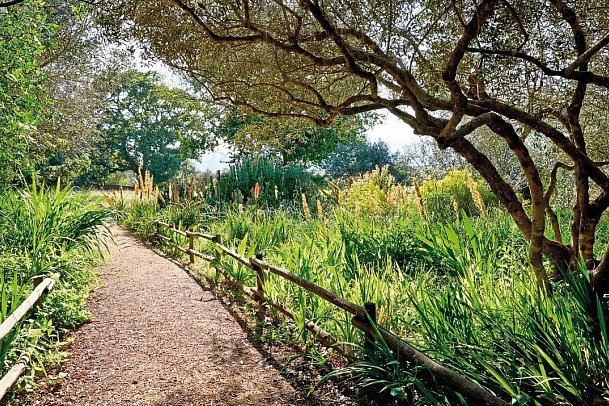 Spier Hotel