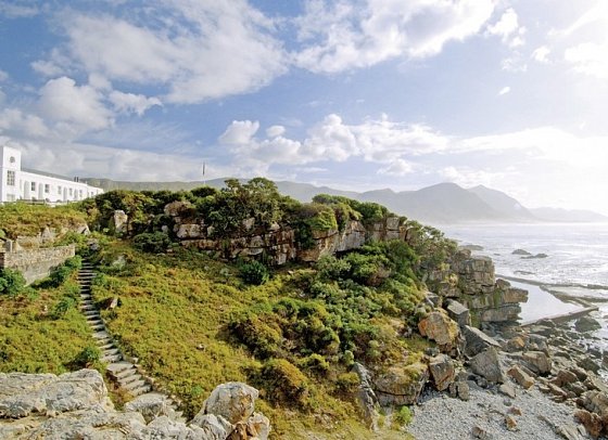 The Marine Hermanus