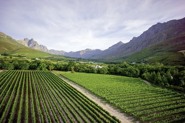 Lanzerac Hotel & Spa