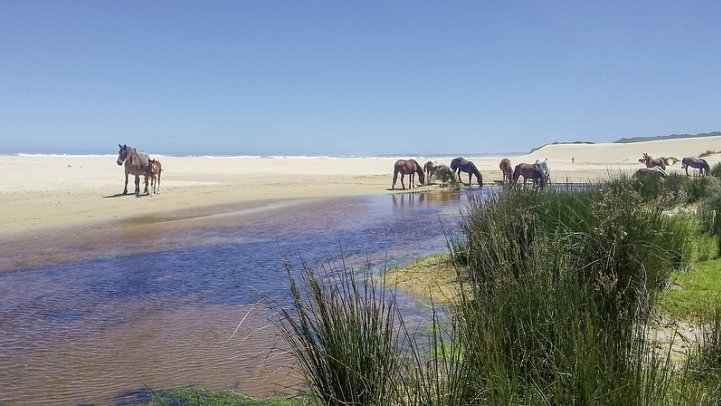 Gartenroute zum Verweilen (Kapstadt - Gqeberha (Port Elizabeth)) - Oyster Bay Lodge