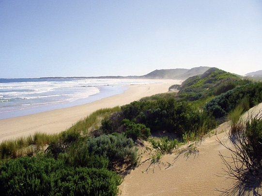 Gartenroute zum Verweilen (Kapstadt - Gqeberha (Port Elizabeth)) - Oyster Bay