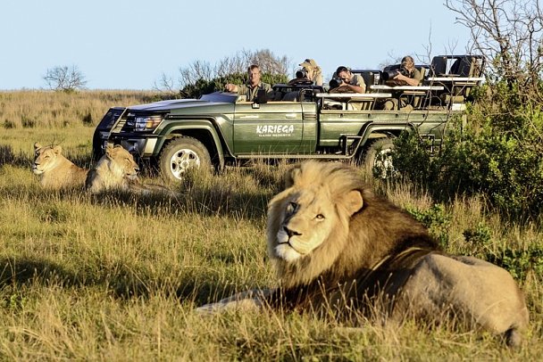 Gartenroute zum Verweilen (Kapstadt - Gqeberha (Port Elizabeth)) - Pirschfahrt im Kariega Game Reserve
