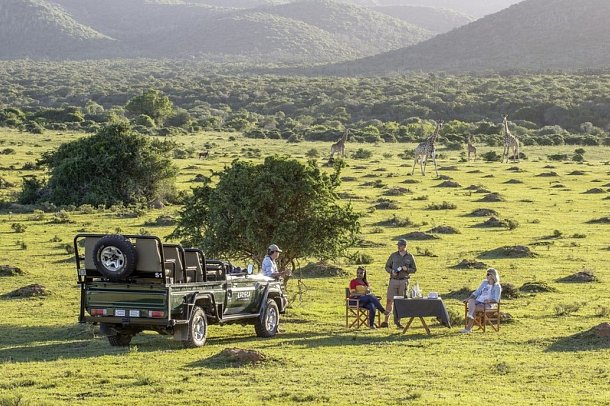Gartenroute zum Verweilen (Kapstadt - Gqeberha (Port Elizabeth)) - Sundowner im Wildreservat