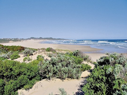Gartenroute zum Verweilen (Kapstadt - Gqeberha (Port Elizabeth)) - Strand, Oyster Bay Lodge