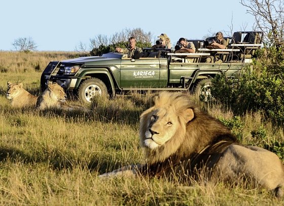 Gartenroute zum Verweilen (Kapstadt - Gqeberha (Port Elizabeth)) - Pirschfahrt im Kariega Game Reserve