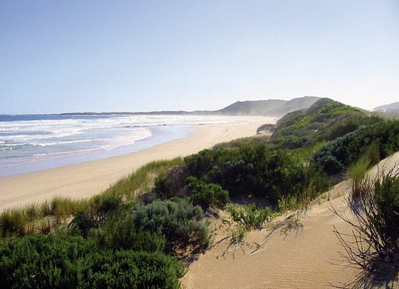 Gartenroute zum Verweilen (Kapstadt - Gqeberha (Port Elizabeth)) - Oyster Bay