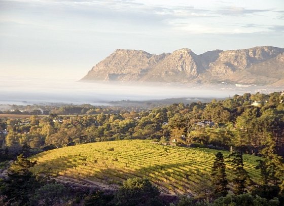 Kap Sinfonie - Kleingruppenreise - Winelands