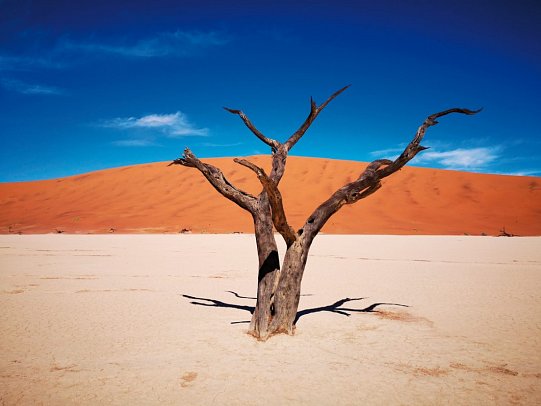 Drifters - Southern Africa Explorer Kapstadt - Johannesburg - Dead Vlei