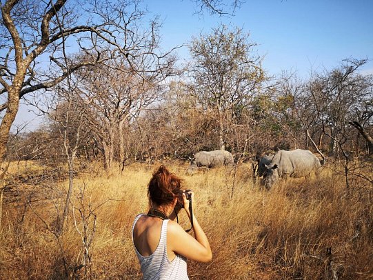 Drifters - Southern Africa Explorer Kapstadt - Johannesburg - Rhino Walk