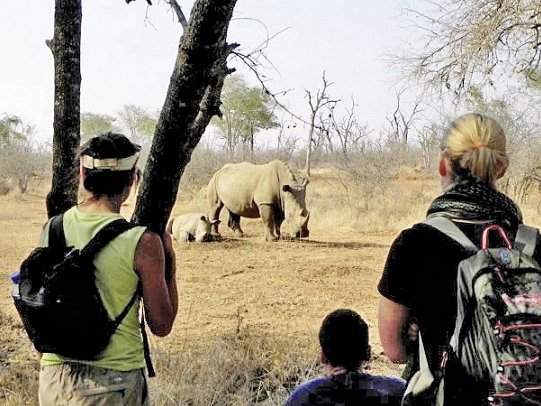 Drifters - Southern Africa Explorer Kapstadt - Johannesburg