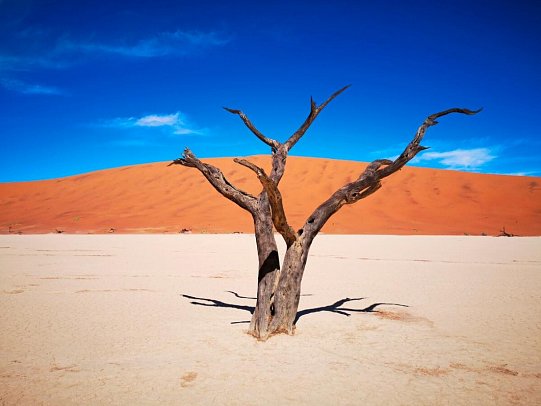 Drifters - Southern Africa Explorer Kapstadt - Maun - Dead Vlei