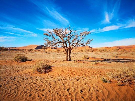 Drifters - Southern Africa Explorer Kapstadt - Maun - Namibia