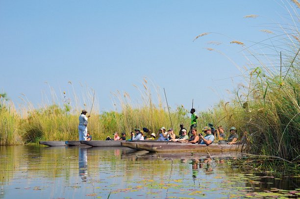 Drifters - Southern Africa Explorer Kapstadt - Maun - Mokoro-Kanus