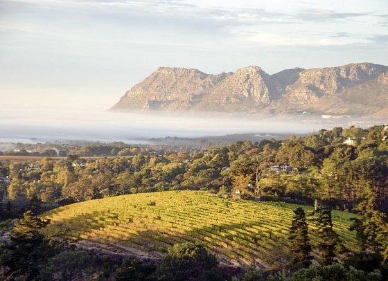 Faszination Gartenroute, Karoo und Addo (Autoreise) - Winelands