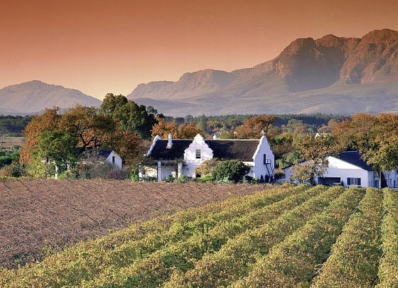 Faszination Gartenroute, Karoo und Addo (Autoreise) - Weinregion