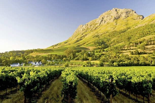 Erlebnis Gartenroute, Karoo & Addo - Weinregion bei Stellenbosch