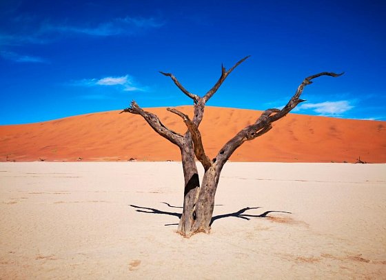 Drifters - Southern Africa Explorer - Dead Vlei