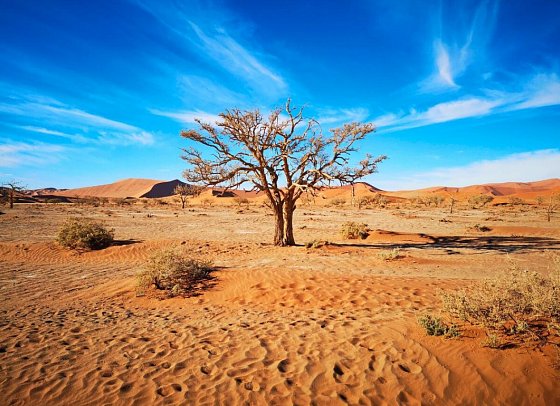 Drifters - Southern Africa Explorer - Namibia